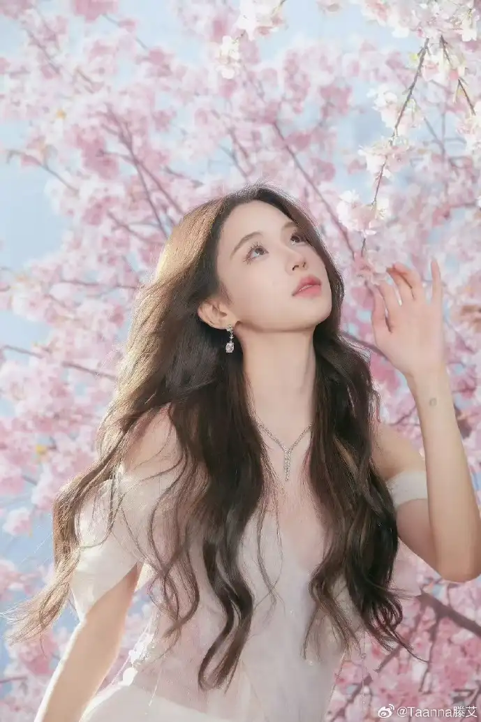 神探 下载数据分析